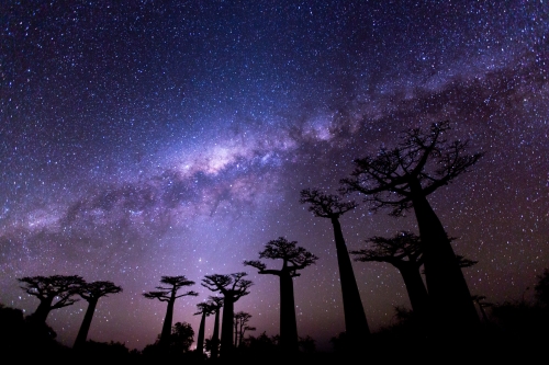 Milky Way, Madagascar?
